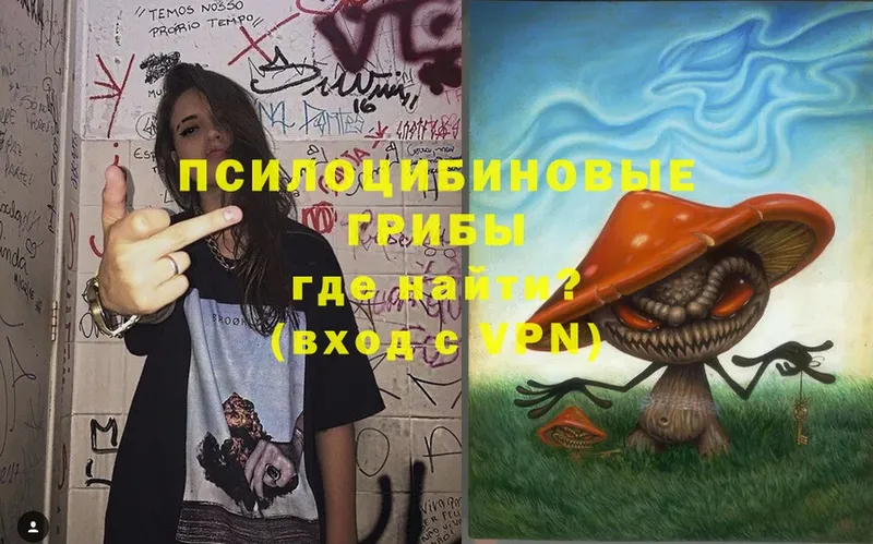 Галлюциногенные грибы MAGIC MUSHROOMS  Берёзовка 